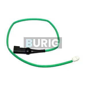 B070054 Burig