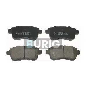 B020165 Burig