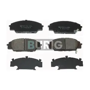 B020459 Burig