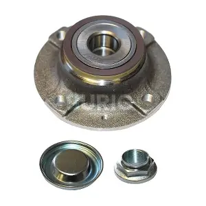 B100277 Burig