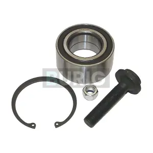 B100115 Burig
