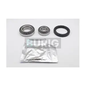B100502 Burig