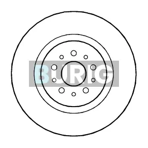 B010960 Burig