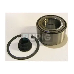 B100240 Burig