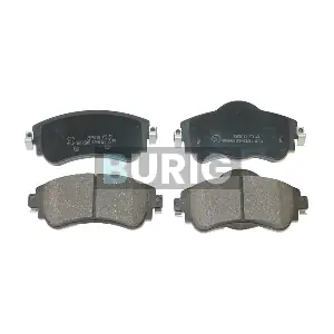 B020299 Burig