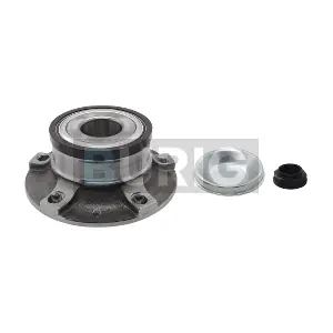 B100313 Burig