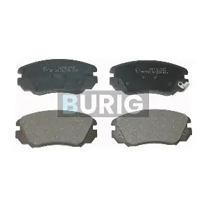 B020045 Burig