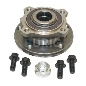 B100133 Burig