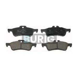 Burig B020067