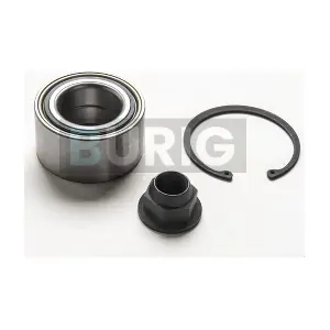 B100456 Burig
