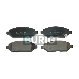 B020273 Burig