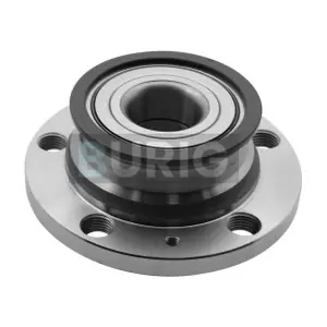 B100388 Burig