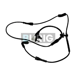 Burig B070018