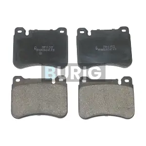 B020408 Burig