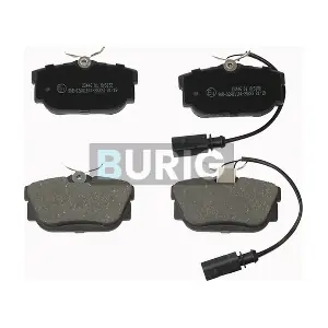 B020186 Burig
