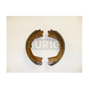 B050101 Burig