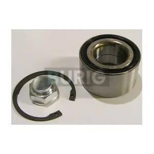 B100210 Burig