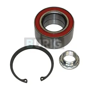 B100088 Burig