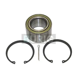 B100081 Burig