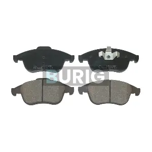 B020284 Burig