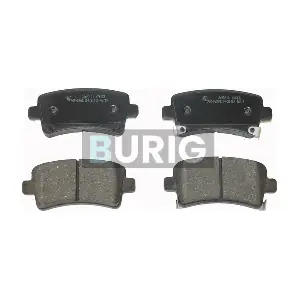 Burig B020039