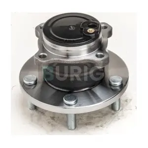 B100523 Burig