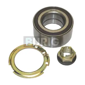 B100172 Burig