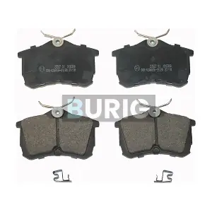 B020384 Burig