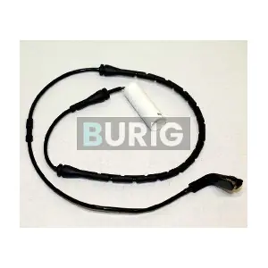 B070115 Burig