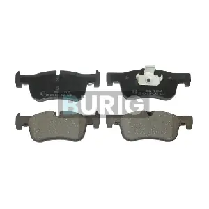 B020227 Burig