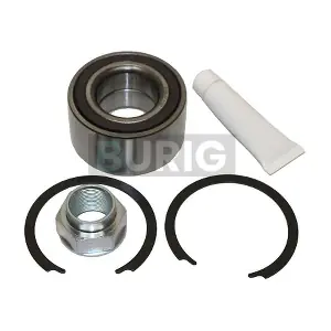 B100343 Burig