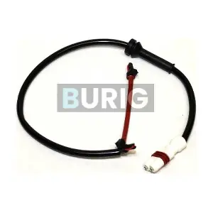 B070072 Burig