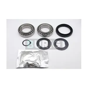 B100090 Burig
