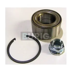 B100267 Burig