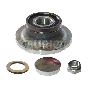 Burig B100017