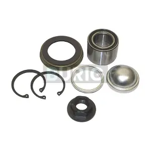B100025 Burig