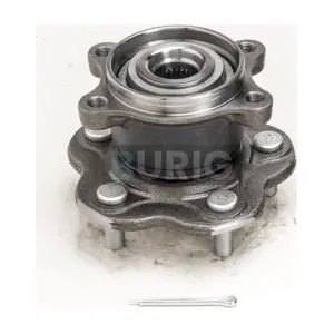 B100451 Burig