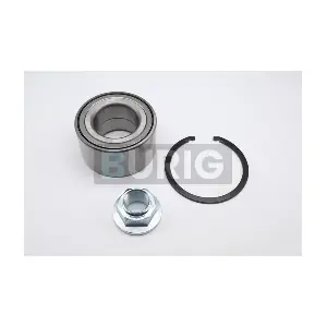 B100411 Burig