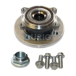 Burig B100035