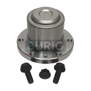 B100197 Burig