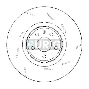 B011517 Burig