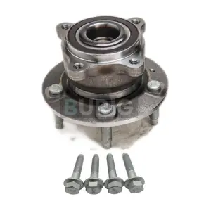 B100224 Burig