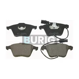 B020201 Burig