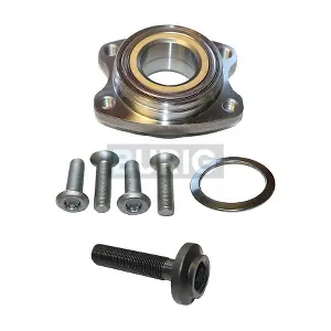 B100027 Burig