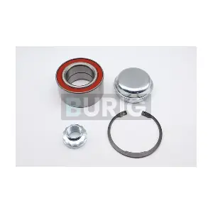 B100421 Burig