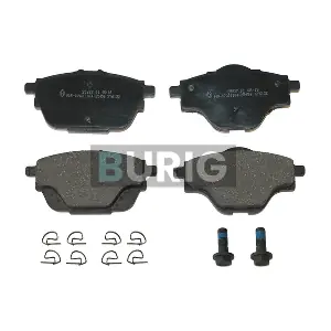 B020190 Burig