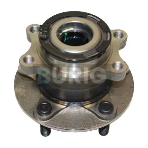 B100114 Burig