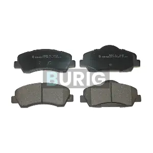 B020253 Burig