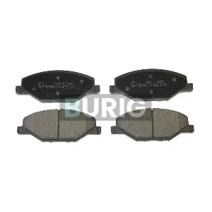 B020567 Burig
