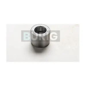 B100418 Burig